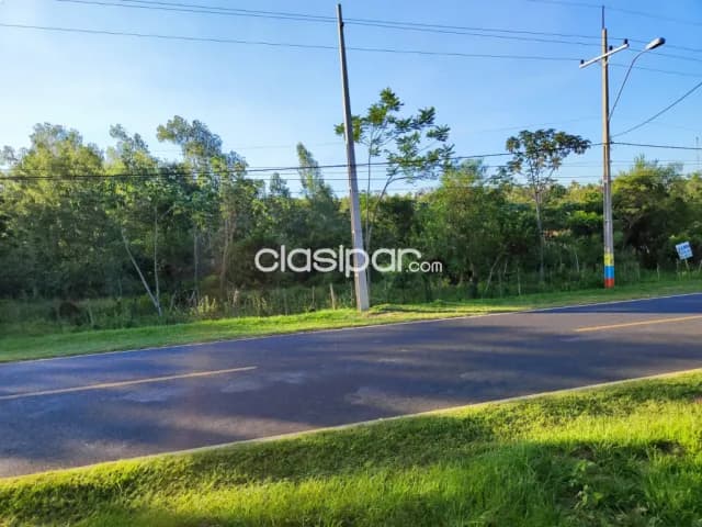 8 Terrenos sobre ruta en Nueva Colombia — foto 4