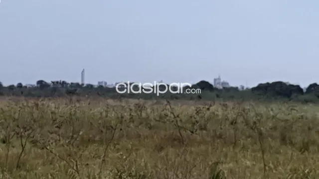 10 ha. Campo en nueva asuncion (ex chaco i)-zona puerto amarradero, foto 2