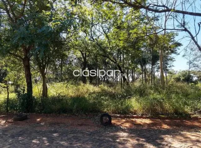 Dos hectáreas en Ñemby pa'i ñu, foto 4