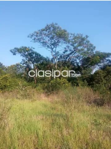Altos, terreno de 374 m2 sobre ruta asfaltada altos–loma grande zona estadio alberto ojeda, foto 5