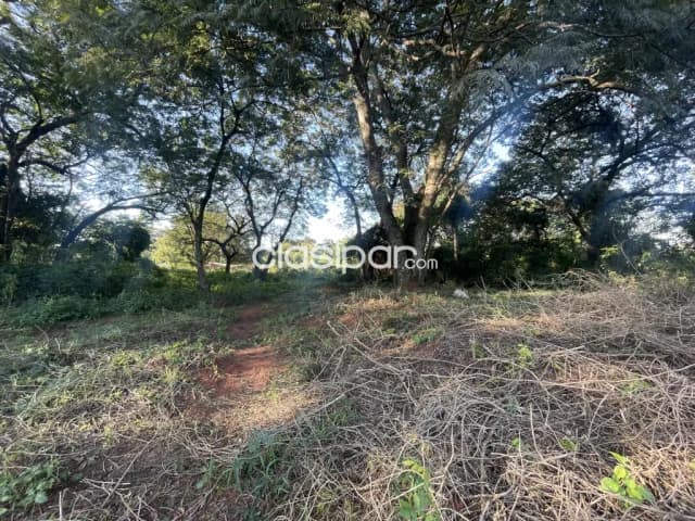 Hermoso terreno en mbokajaty de Ñemby, foto 4
