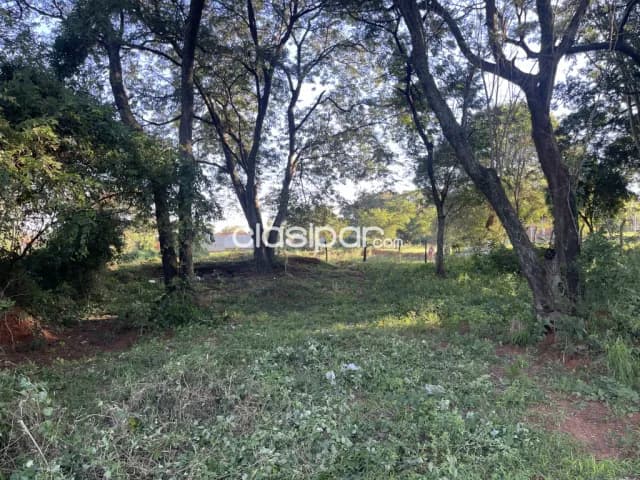 Hermoso terreno en mbokajaty de Ñemby, foto 5