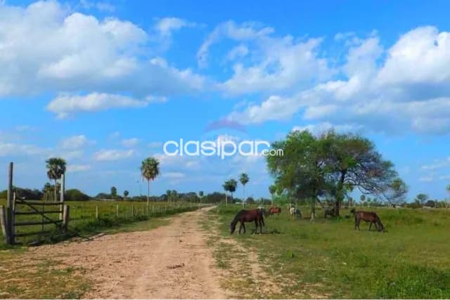 Estancia s/ ruta transchaco km 130 pte.hayes — foto 3