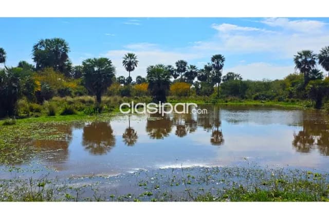Estancia s/ ruta transchaco km 130 pte.hayes — foto 5