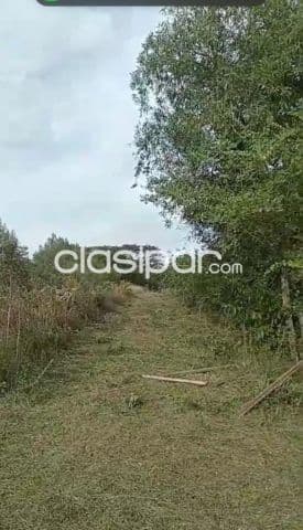7 hectareas en paraguari cerro leon cod 4678