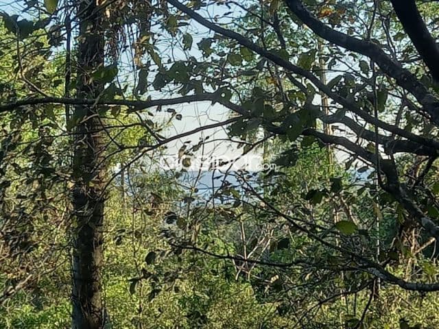 Terreno en San Bernardino, con vista al lago — foto principal