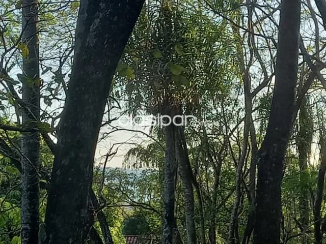 Terreno en San Bernardino, con vista al lago — foto 3