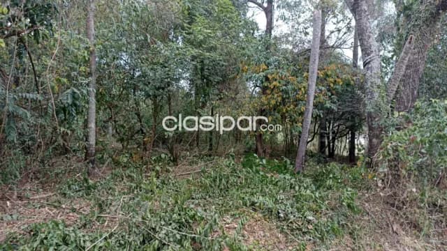 Terreno en San Bernardino, con vista al lago — foto 4
