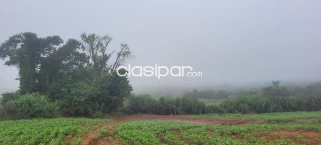 Campo Agrícola/Ganadero en San Juan Nepomuceno - 20 Ha