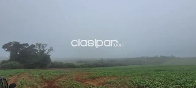 Campo Agrícola/Ganadero en San Juan Nepomuceno - 20 Ha, foto 3