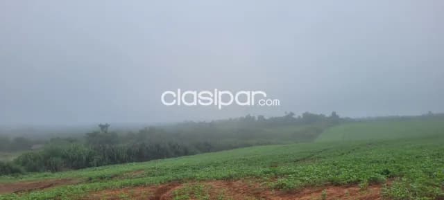 Campo Agrícola/Ganadero en San Juan Nepomuceno - 20 Ha, foto 4