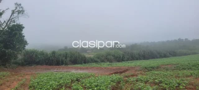 Campo Agrícola/Ganadero en San Juan Nepomuceno - 20 Ha, foto 5