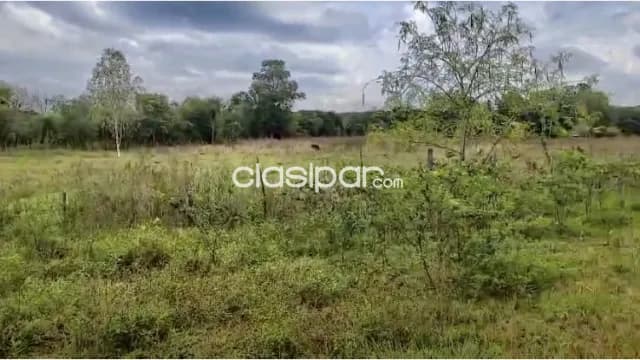 5ha. De campo en el centro de benjamin aceval - chaco — foto 5