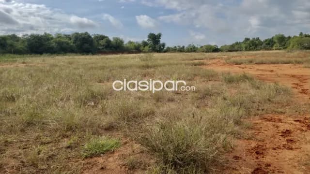 5ha. De campo en el centro de benjamin aceval - chaco — foto 3
