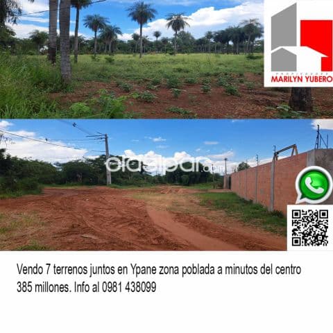 VENDO! 7 terrenos juntos en Ypane CL923