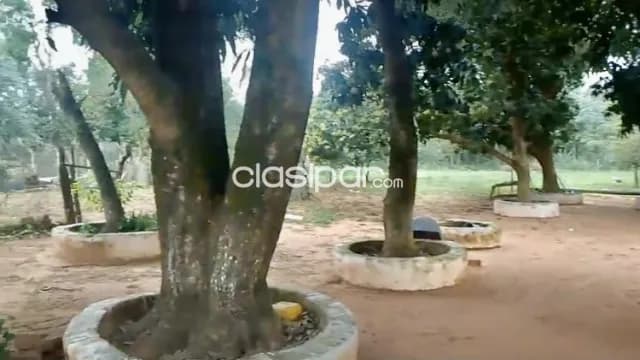 Oferto amplio terreno con casa en itaugua-bº laurelty, foto 3