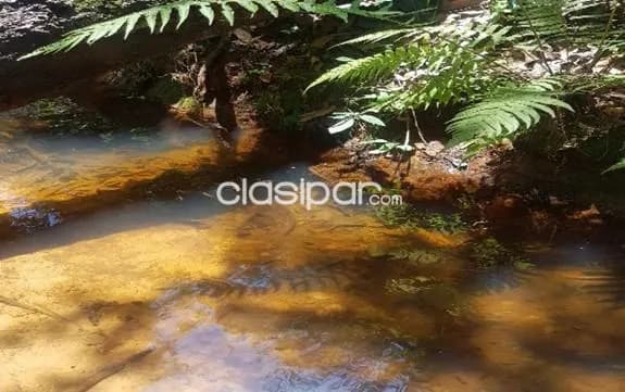 Paraguarí oportunidad única: 7.5 has, ideales p/ desarrollos agro ganaderos, ecoturismo, foto 4