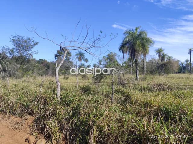 Oferta de 5.5 ha.entre Nueva Colombia y Emboscada, foto 5