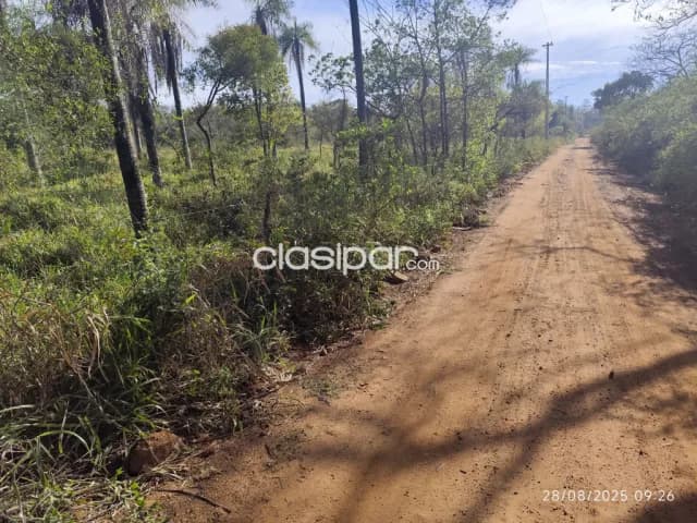 Oferta de 5.5 ha.entre Nueva Colombia y Emboscada, foto 4