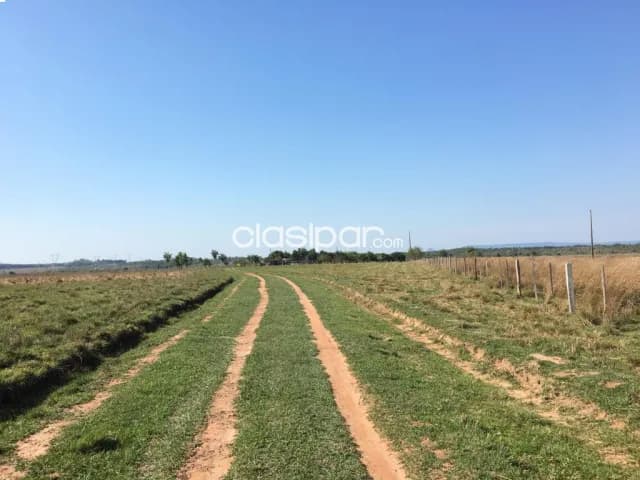 campo de 92 has - Quindy / Ybycui - TRANQUERA CERRADA — foto 4