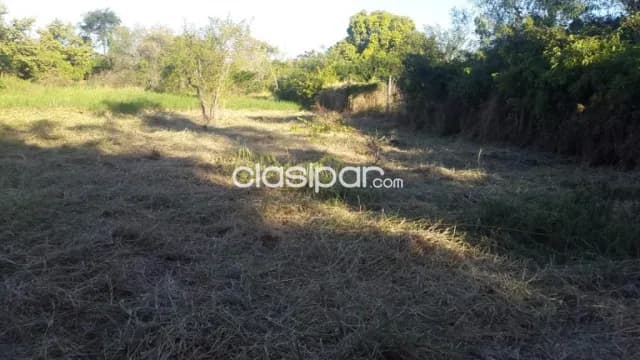 2 hectareas en limpio isla aveiro el portal atrás de abasto norte — foto 2
