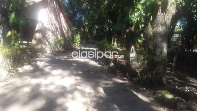 2 hectareas en limpio isla aveiro el portal atrás de abasto norte — foto 3