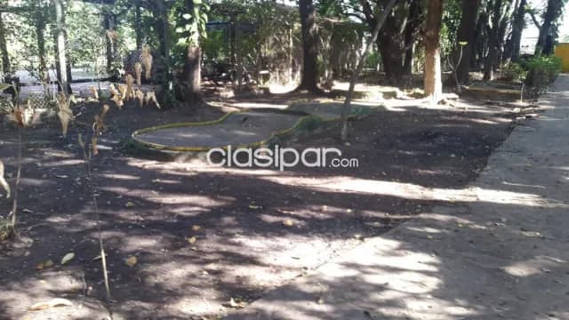 2 hectareas en limpio isla aveiro el portal atrás de abasto norte — foto 4