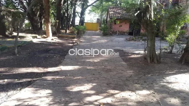 2 hectareas en limpio isla aveiro el portal atrás de abasto norte — foto 5