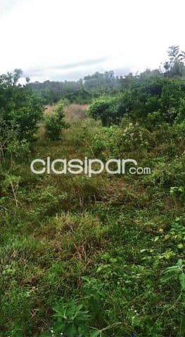 5 hectareas en atyra cod 5052 — foto 1