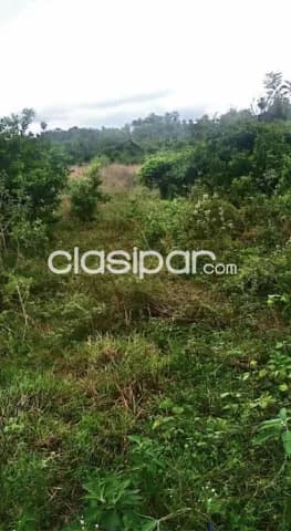 5 hectareas en atyra cod 5052 — foto 2