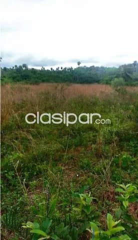 5 hectareas en atyra cod 5052 — foto 4