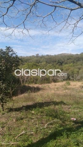 8.5 hectareas en mbatovi, foto 1