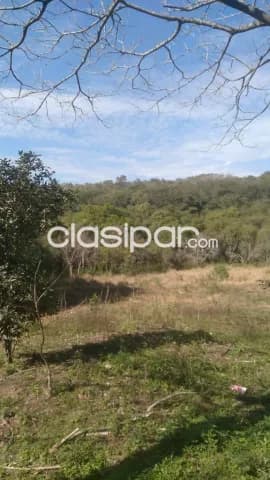 8.5 hectareas en mbatovi, foto 2