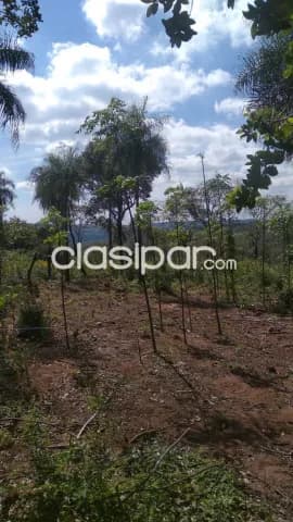 8.5 hectareas en mbatovi, foto 3