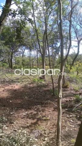 8.5 hectareas en mbatovi, foto 4
