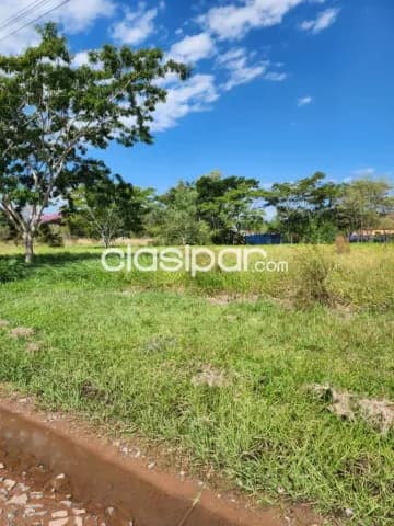 En venta dos lotes en surubii Mariano Roque Alonso — foto 2