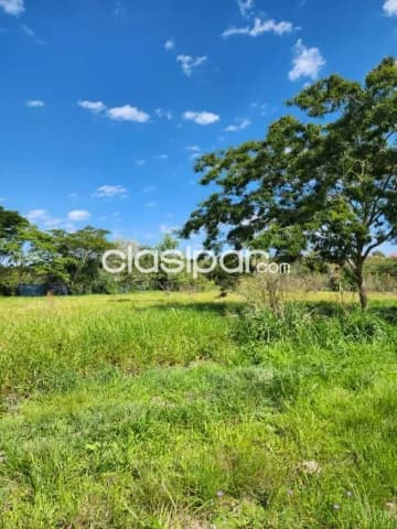 En venta dos lotes en surubii Mariano Roque Alonso — foto 3