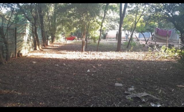 Terreno en Luque isla bogado cod 5391