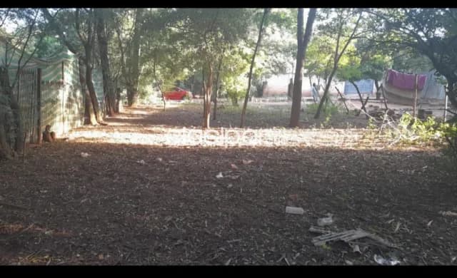 Terreno en Luque isla bogado cod 5391, foto 2