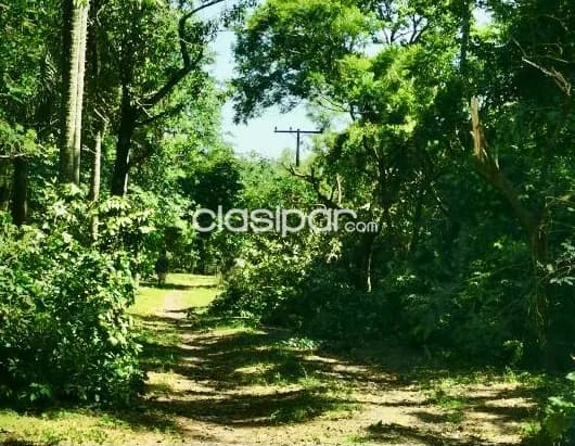 Terreno Rural en Altos - 23 Ha — foto 3