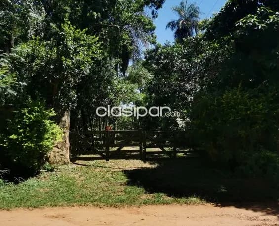 Terreno Rural en Altos - 23 Ha — foto 4