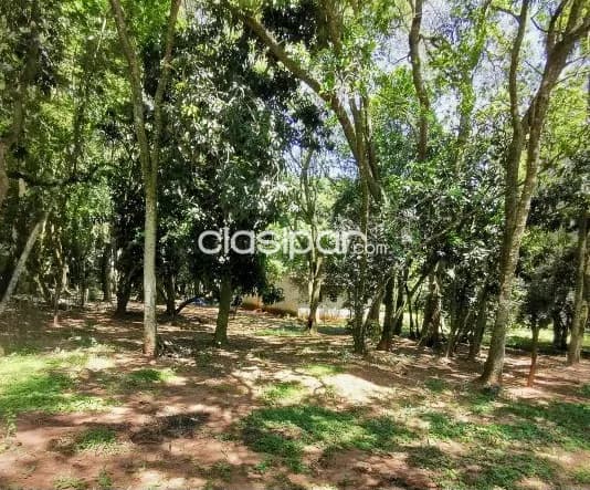 Terreno Rural en Altos - 23 Ha — foto 5