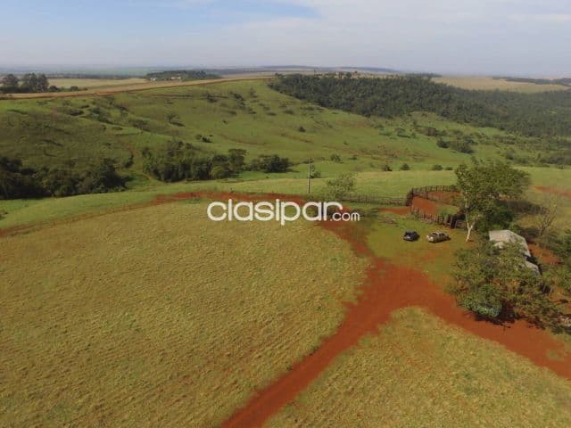 Campo Agrícola/Ganadero en Nueva Esperanza - 185 Ha
