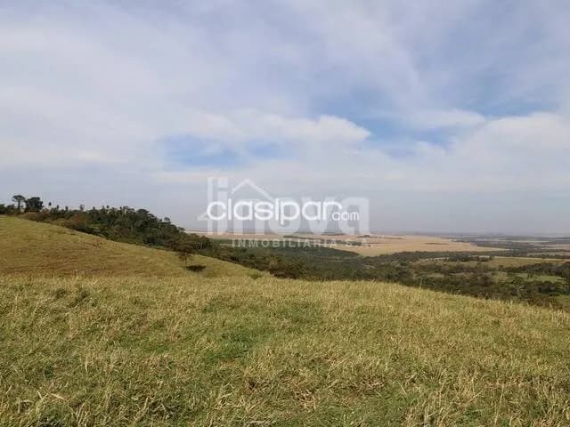 Campo Agrícola/Ganadero en Nueva Esperanza - 185 Ha — foto 3