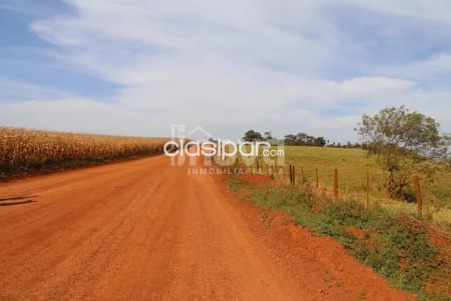 Campo Agrícola/Ganadero en Nueva Esperanza - 185 Ha — foto 4
