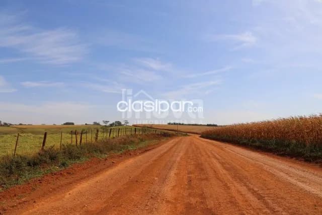 Campo Agrícola/Ganadero en Nueva Esperanza - 185 Ha — foto 5