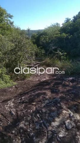 A Precio De Oportunidad Terreno De 85 Ha En Mbatovi Piribebuy, foto 3
