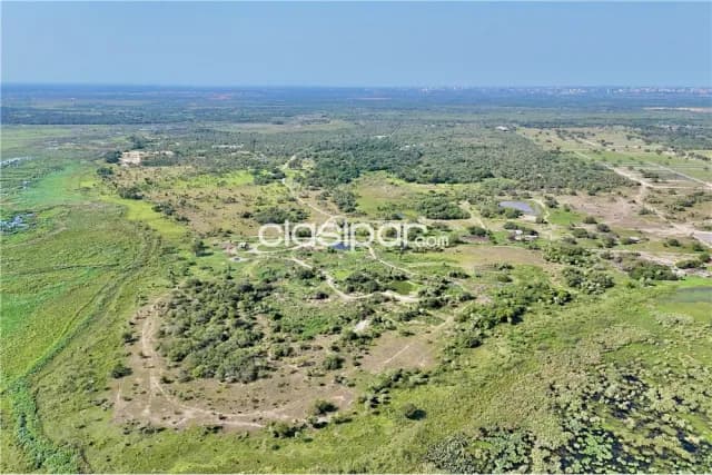 En venta 50 hectareas en jose falcon, foto 4