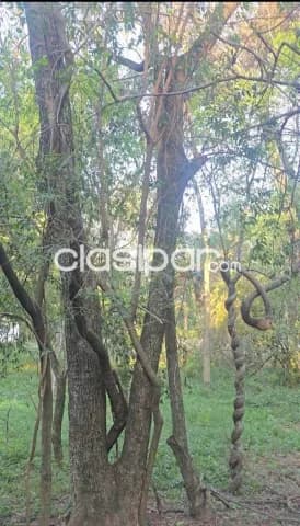 Terreno - las cumbres, San Bernardino — foto 2