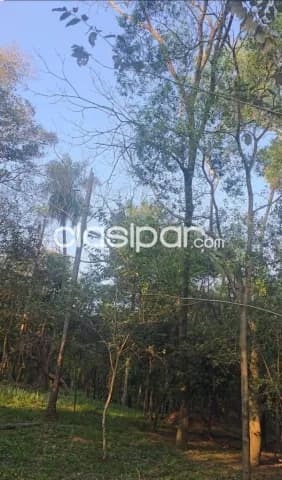 Terreno - las cumbres, San Bernardino — foto 3